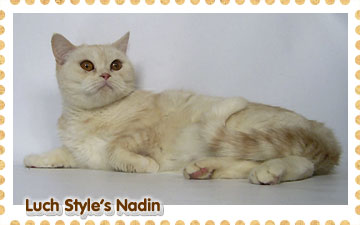 Luch Style`s Nadin