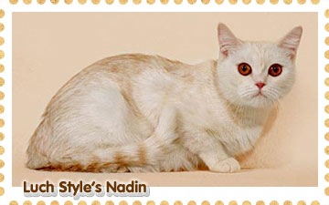 Luch Style`s Nadin