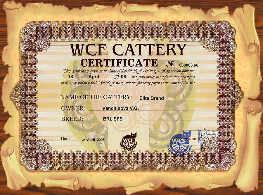 сертификат WCF